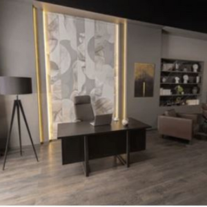 Meja Direktur Desain Kekinian